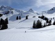 Wintertraum Adelboden-Lenk