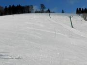 Slalomparcours am Bucklift