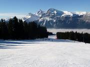 Breite Abfahrt in Les Carroz