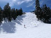 Steile Piste am Mountaineer Express