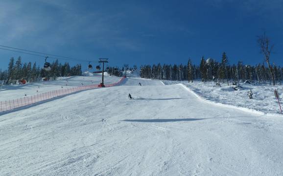 Skigebiete für Könner und Freeriding Zwieseler Winkel – Könner, Freerider Arber