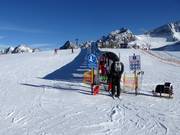 Förderband Gamsgarten 1 - Förderband/Zauberteppich mit Überdachung