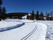 Loipe auf der Hochrindl