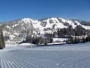 Leichte Piste Silver Queen