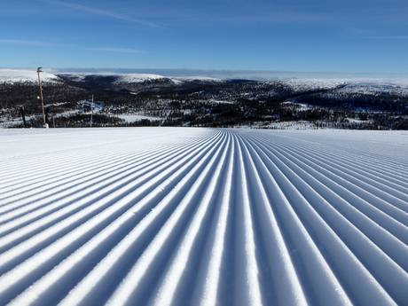 Pistenpräparierung Sälen – Pistenpräparierung Tandådalen/Hundfjället (Sälen)