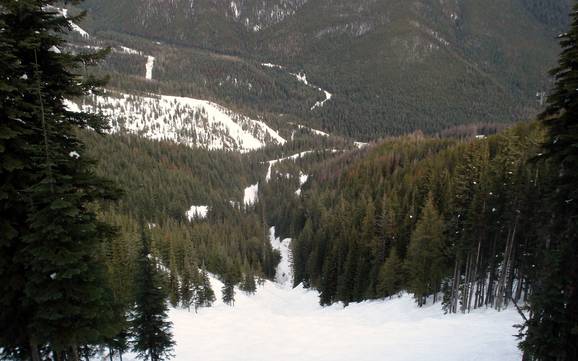Skigebiete für Könner und Freeriding North Okanagan – Könner, Freerider Silver Star