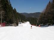 Piste 6 Ski road Pamporovo (Tourist)