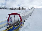 Birkenlift III - Förderband/Zauberteppich mit Überdachung
