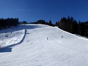 Piste Waldabfahrt