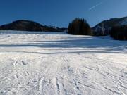 Leichte Abfahrt am FIS-Lift