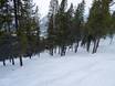 Skigebiete für Könner und Freeriding Columbia Mountains – Könner, Freerider Panorama