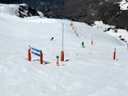 Grün im Tal - Perfekte Bedingungen am Berg