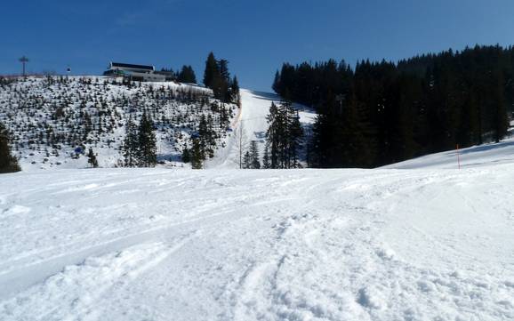 Bestes Skigebiet in der Ferienregion Alpsee-Grünten – Testbericht Ofterschwang/Gunzesried – Ofterschwanger Horn