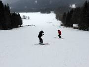 Anspruchsvollere Pisten am Muli 2 Seillift