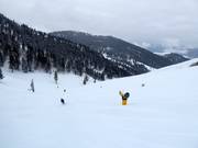 Abfahrten in der Sun Bowl