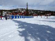 Tipp für die Kleinen  - Kinderbereich Skals Torg