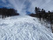 Tiefschneehang Kolašin 1450