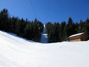 Gipfellift - Schlepplift mit T-Bügel/Anker