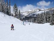 Leichte Piste an der Sesselbahn Link