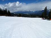 Breit, leicht und nur für die Anfänger