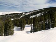 Die Pisten im Blue Sky Basin