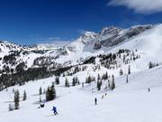Piste an der Sesselbahn Sugarloaf