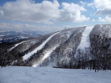 Skigebiete für Könner und Freeriding Ostasien – Könner, Freerider Rusutsu
