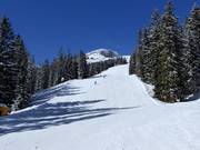 IF2a Hahnenköpfle-Abfahrt, untere Sektion