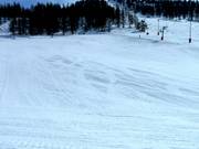 Ideales Anfängergelände am Schlepplift Col