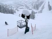 Ergiebige Schneefälle 