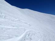 Weite Tiefschneehänge