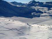 Viel Platz für Freerider