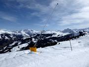 Schneilanze am Rinderberg