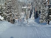 Faregg Lift - Schlepplift mit T-Bügel/Anker