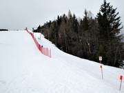 Olympialift - Schlepplift mit T-Bügel/Anker