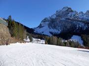 Übungspiste Campo Scuola Baby am Piani di Pezzè