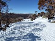 Village Trail im mittleren Bereich