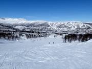 Leichte Piste Kikut Nr. 68