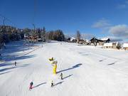 Ideal für Familien und Anfänger