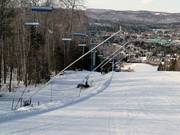 Schneilanzen entlang der Piste