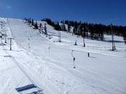 Blick auf die Pisten an der Nordseite