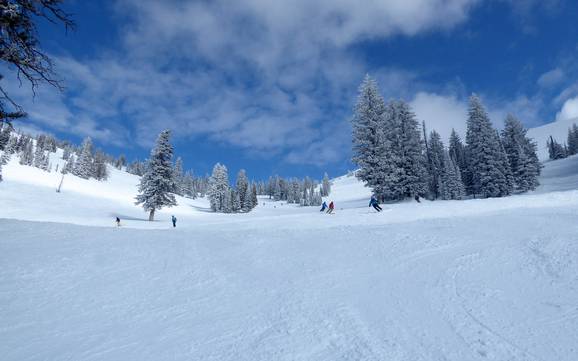 Pistenangebot Teton Range – Pistenangebot Grand Targhee