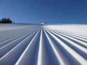 Perfekte Rillen im Schnee