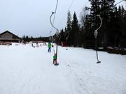 Rödhakeliften - Tellerlift