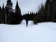 Loipe am Skigebiet Le Massif de Charlevoix