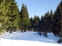 Winterberg (Skiliftkarussell)