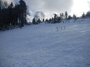 Die Rail im Skigebiet Fahlenscheid