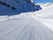 Standardabfahrt vom Trübsee nach Engelberg