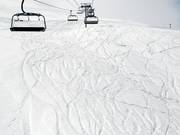 Die freien Wiesenhänge bietet nach Neuschnee reichlich Platz für Powder-Turns