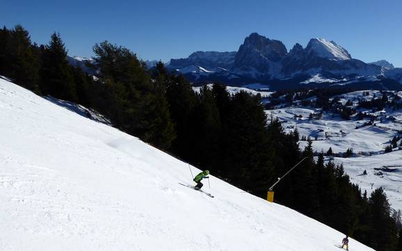Skigebiete für Könner und Freeriding Seiser Alm – Könner, Freerider Seiser Alm (Alpe di Siusi)